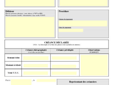 La déclaration de créance dans les procédures collectives